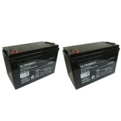 2 X 12V 100Ah (as 90Ah & 95Ah) CTM HOMECARE, SUNRISE MEDICAL, MEDICARE BATTERIES
